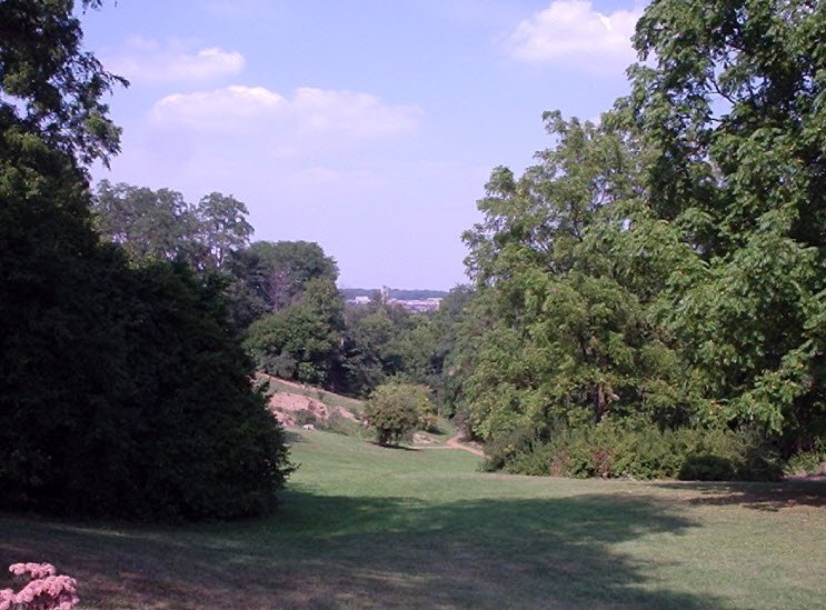 Nichols Arboretum, United States